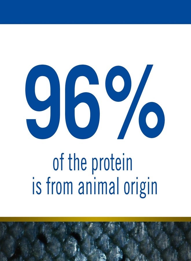 فارمينا طعام فارمينا إن آند دي أوشن بوبي ميني للكلاب | سمك القد، اليقطين، والشمام | يدعم النمو الصحي وتطور الدماغ | غذاء كامل للجراء | 0.8 كجم - Image 4